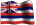 Hawaii Registered Agent Services