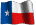 Texas Registered Agent Services